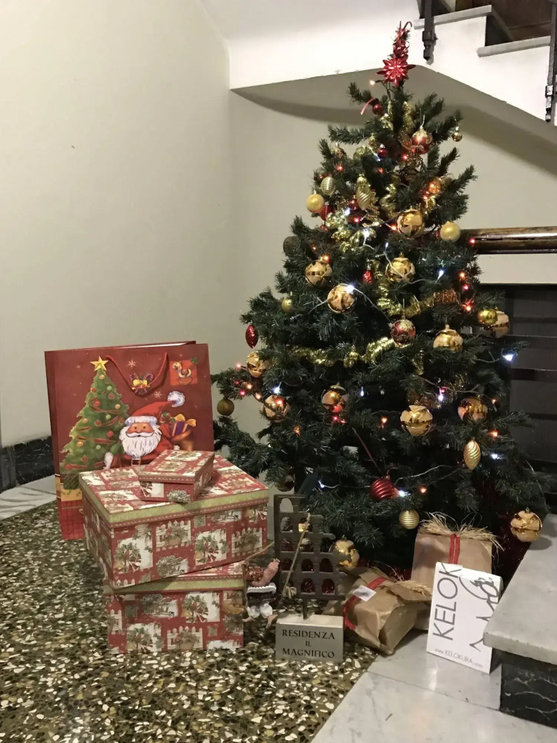 Residenza il Magnifico