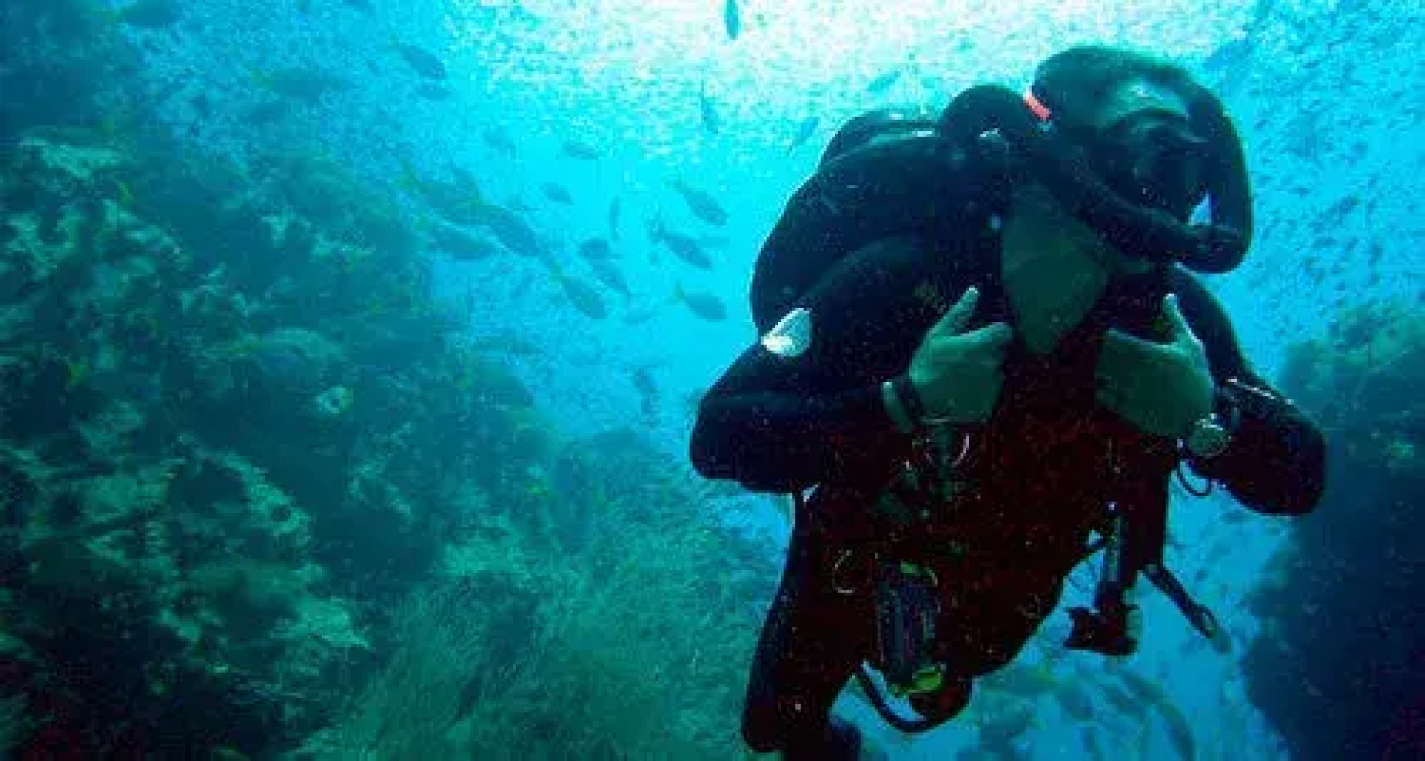 Bungalows Cabo Pulmo