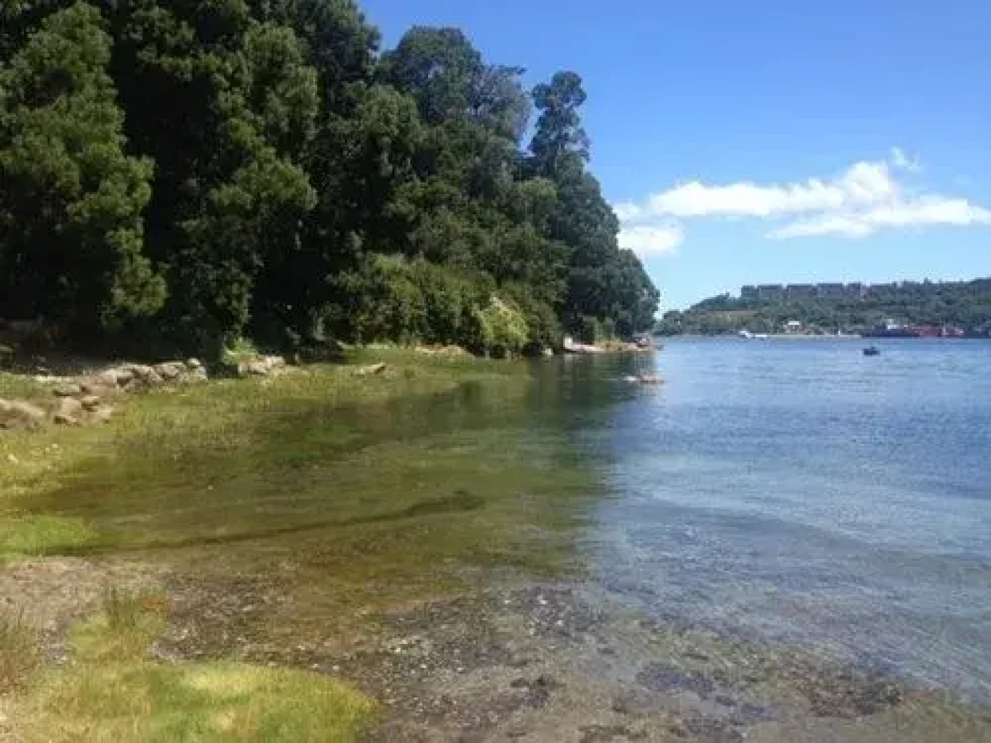 Punta Piedras Lodge & Marina