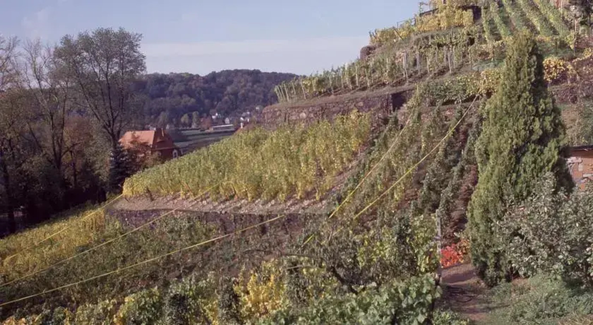 Weinmanufaktur Mariaberg