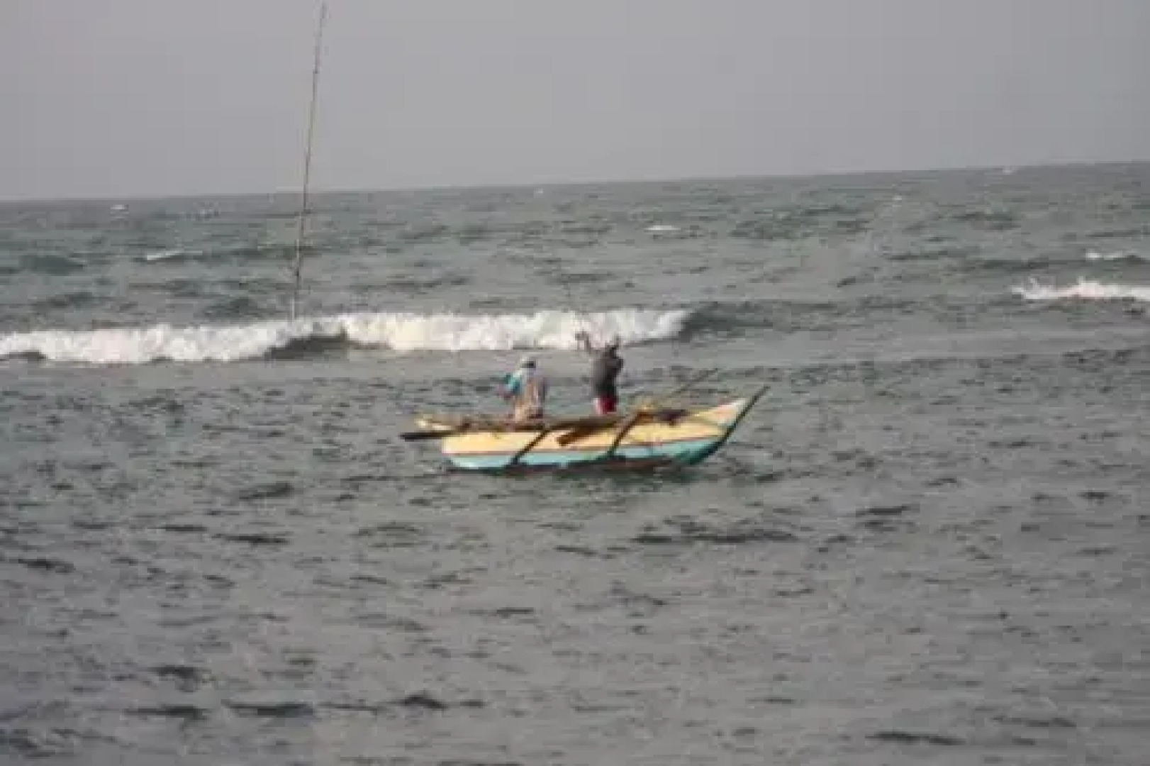 Tropi Turtle Guesthouse