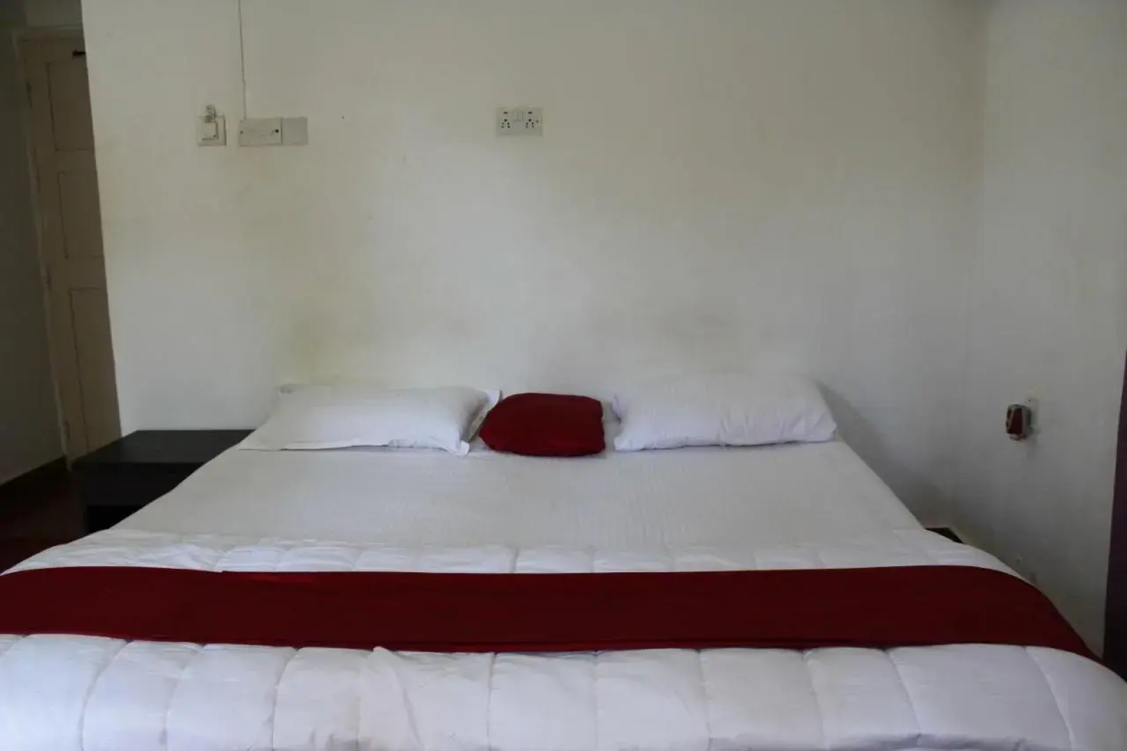 Macedo Palms Lemonmint