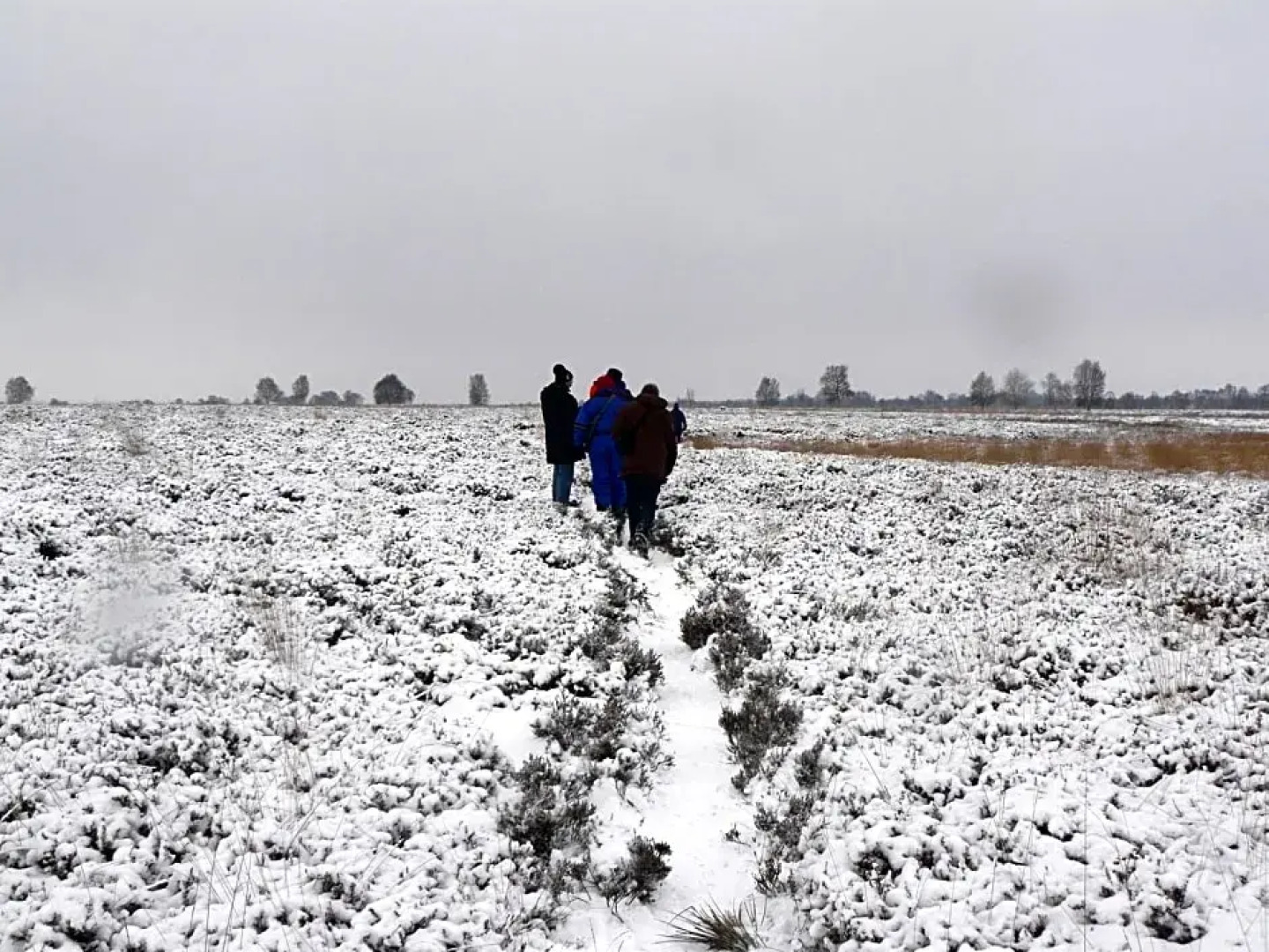 Stichting Veenloopcentrum Weiteveen