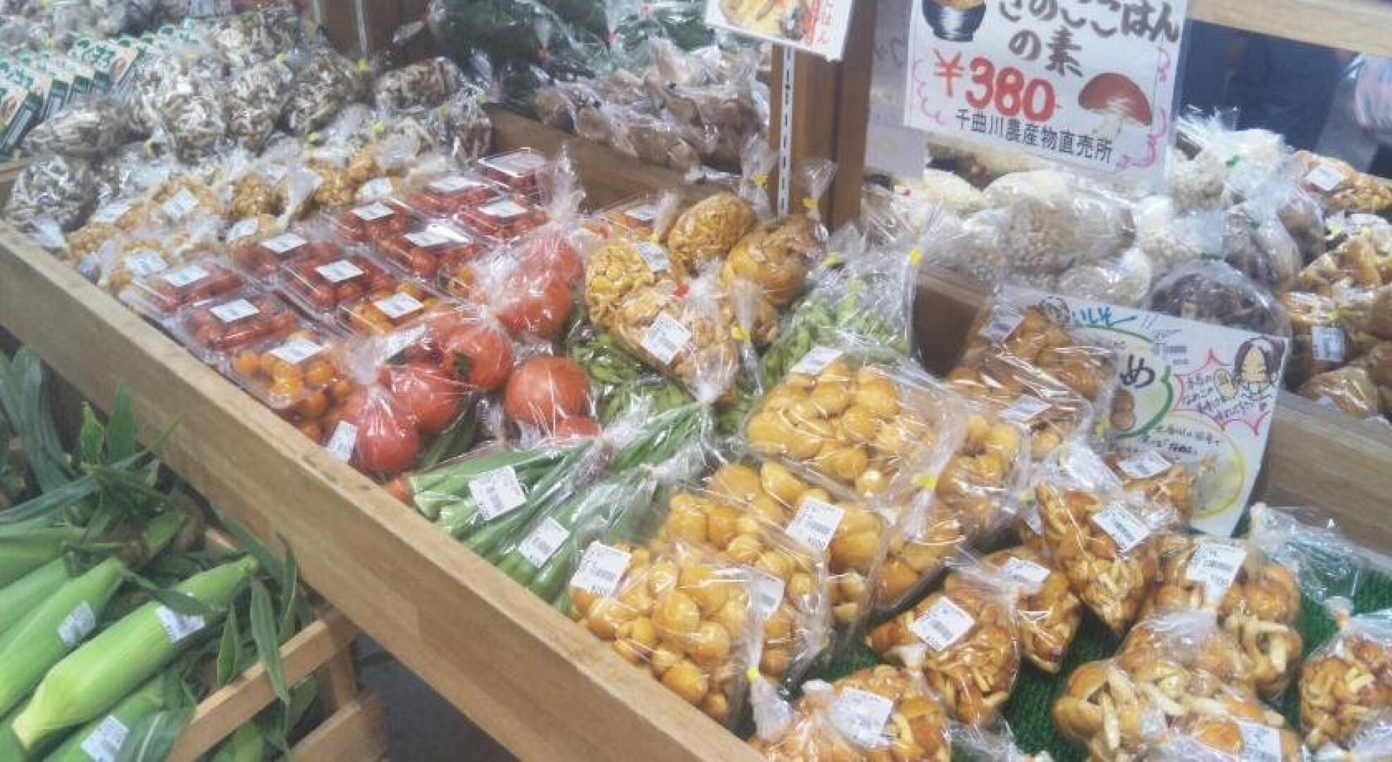 Guest House Hostel yukuru