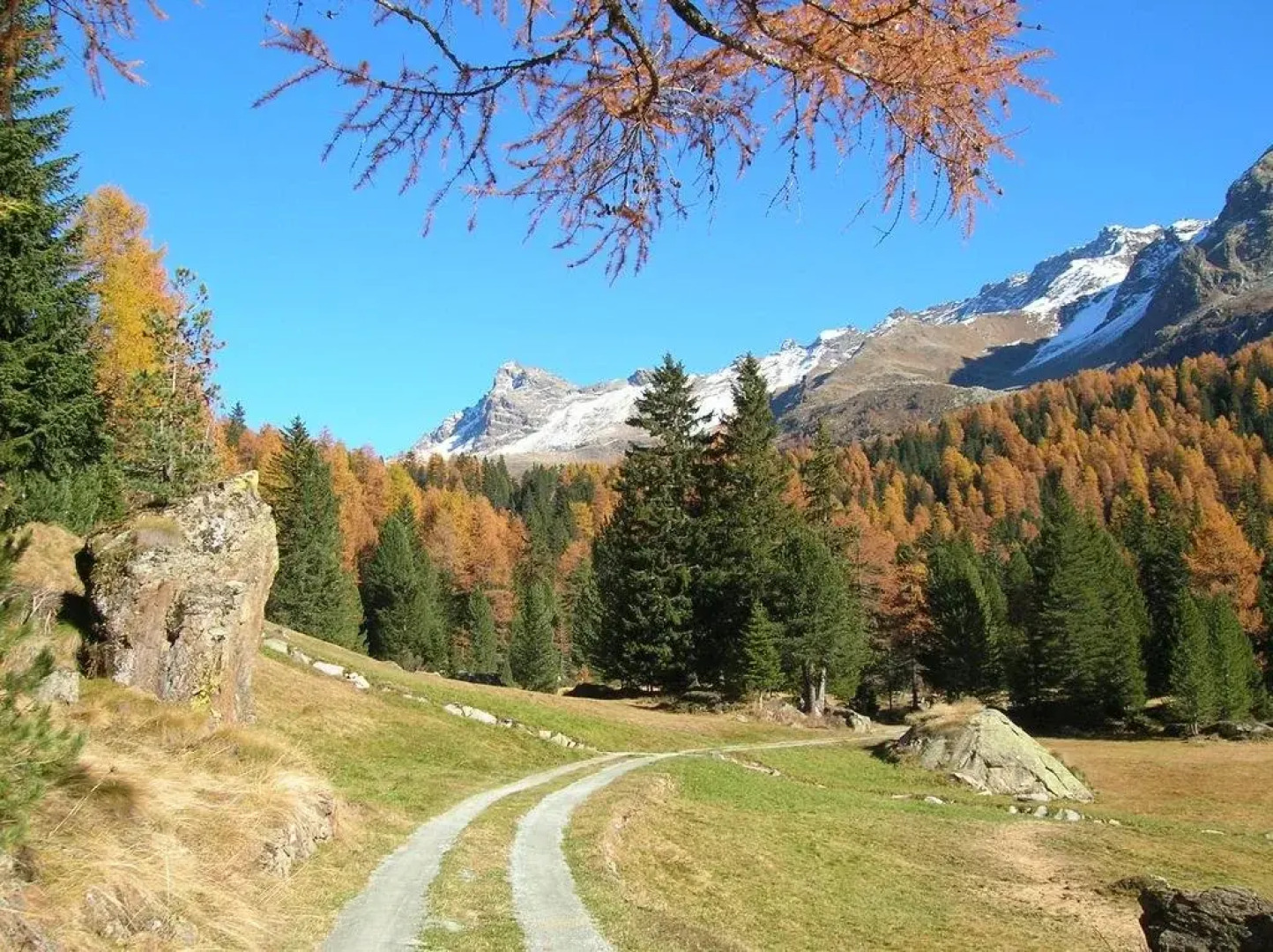 Pensione Ristorante Selva
