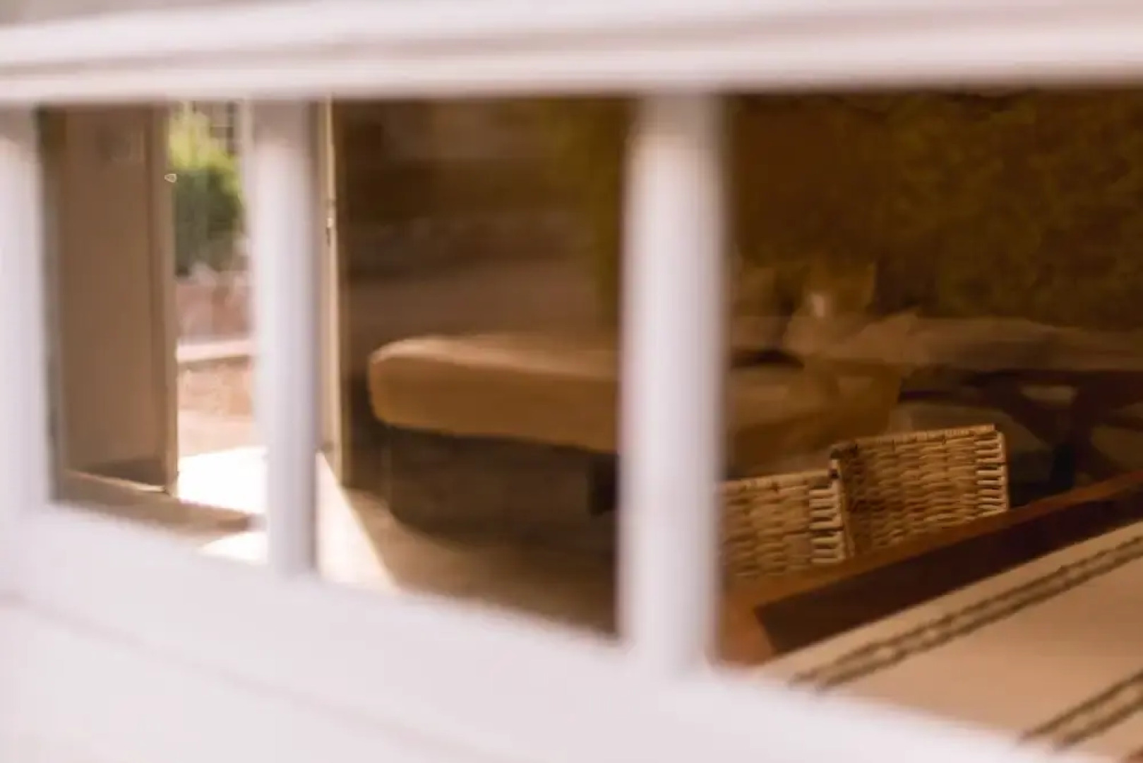 Bosque Divino Cabañas & Suites