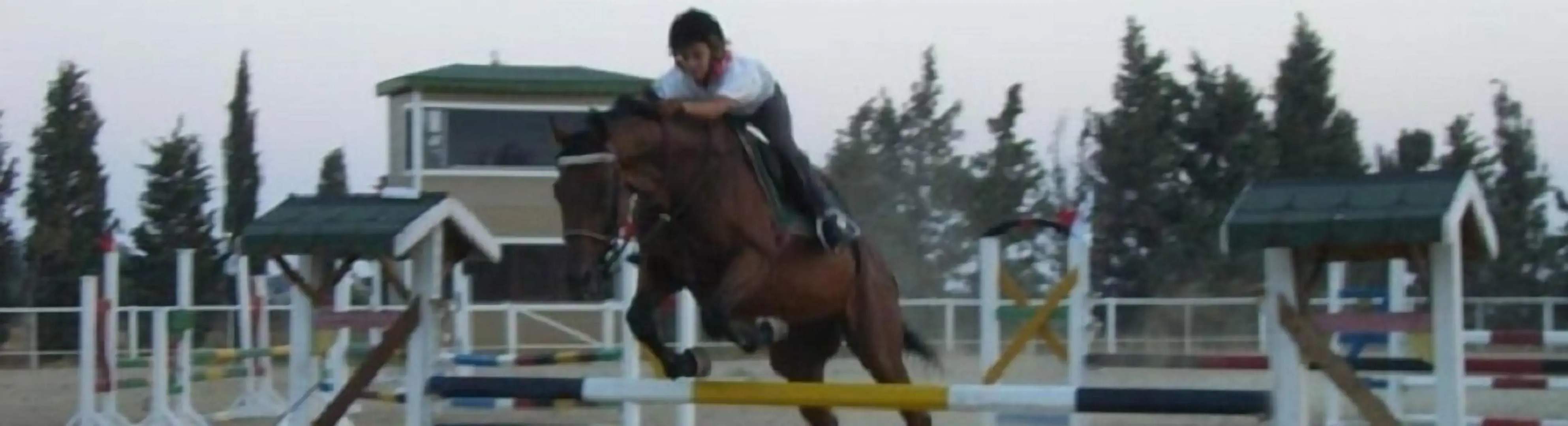 ERKANLI COUNTRY Resort , Spa & Riding Club - Special Class