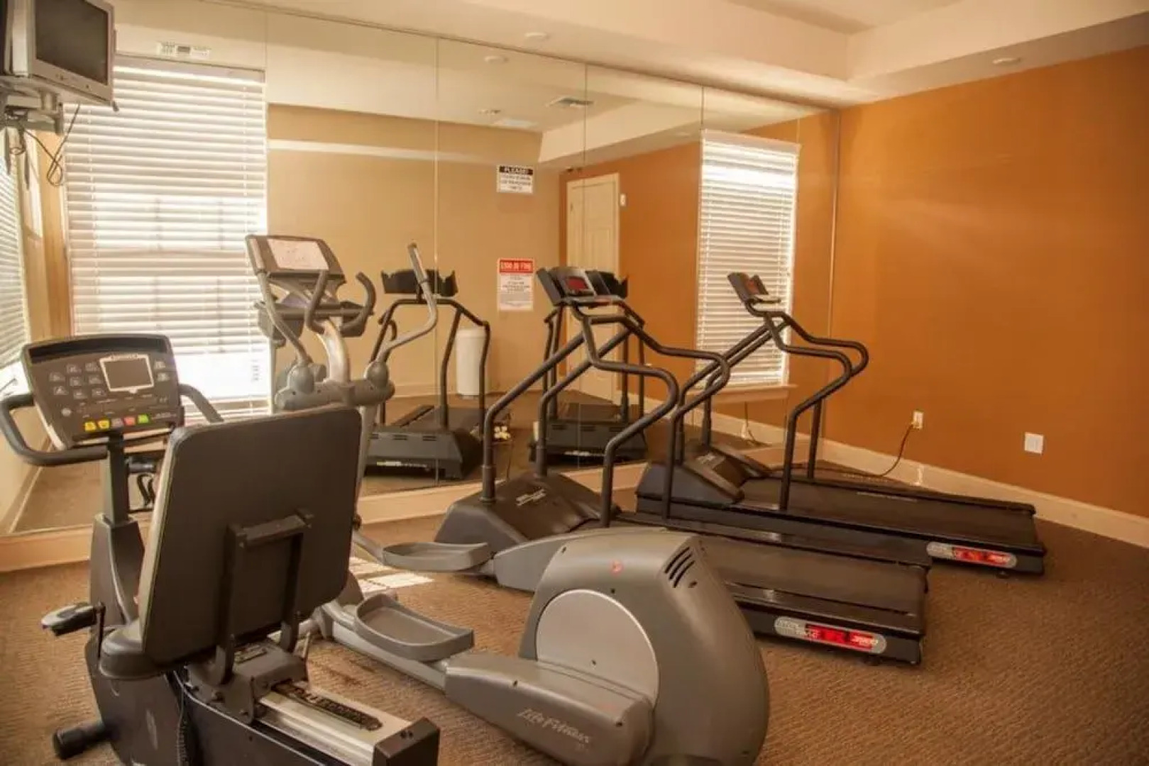 Pool Side Tree House