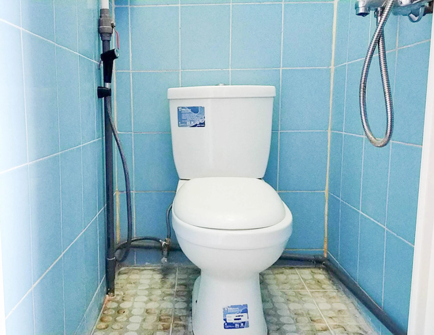 Queen Asri 2 RedPartner