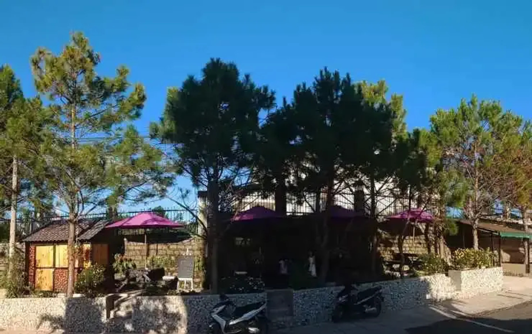 The Orchid Villa Dalat