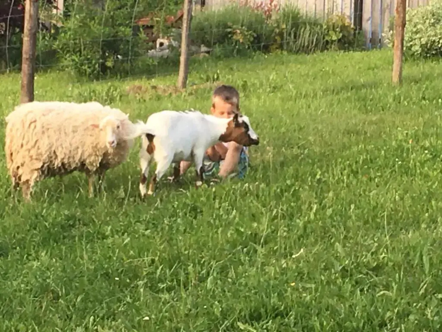 Apartment Pri Boštjanovcu