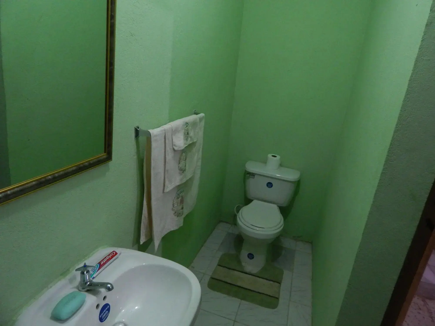 Lion's Pride - Hostel