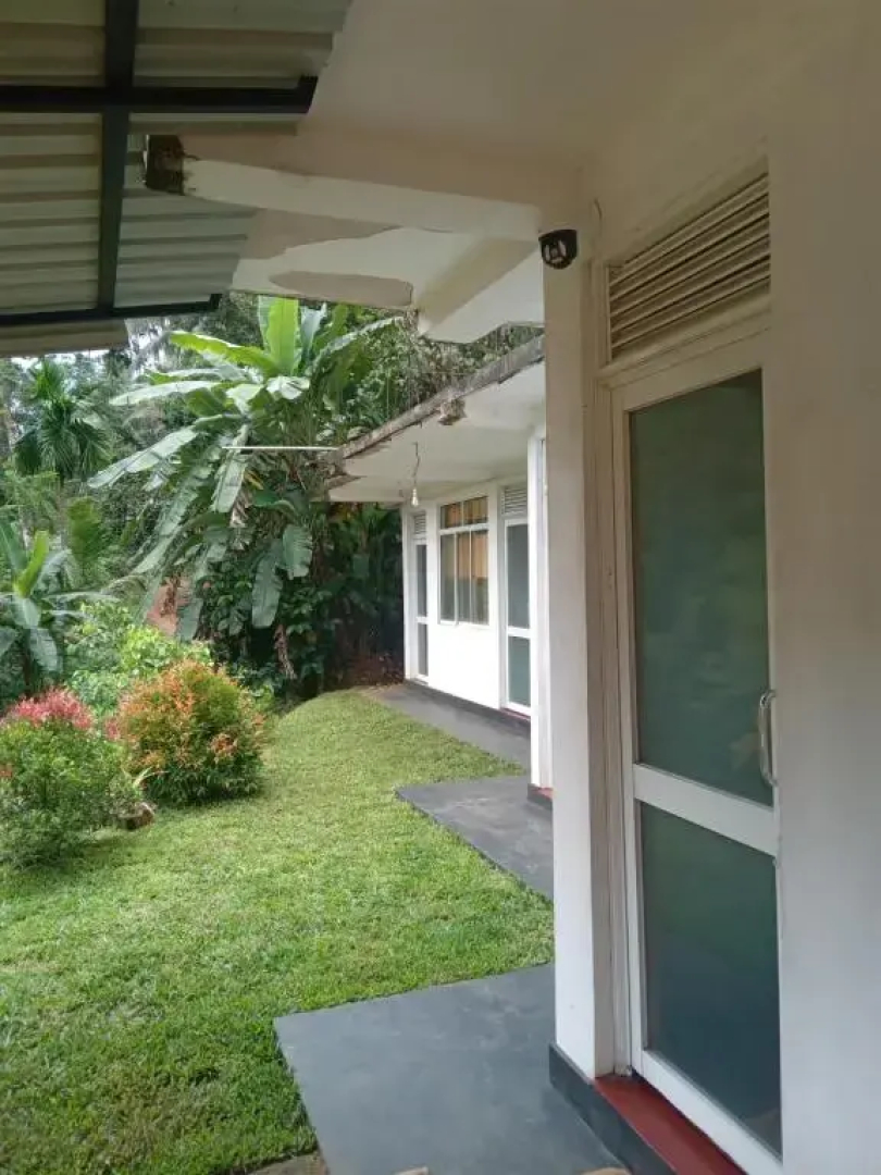 Rainforest Holiday Inn