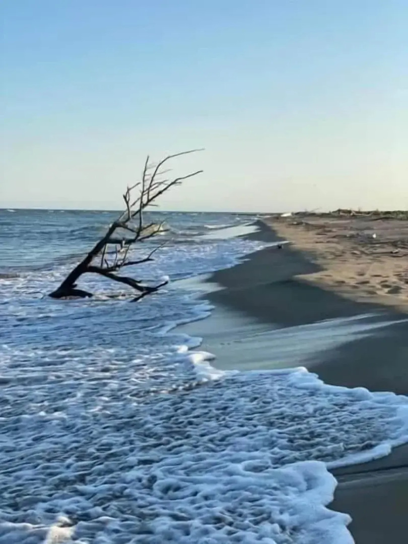Hotel Restaurant La Plage