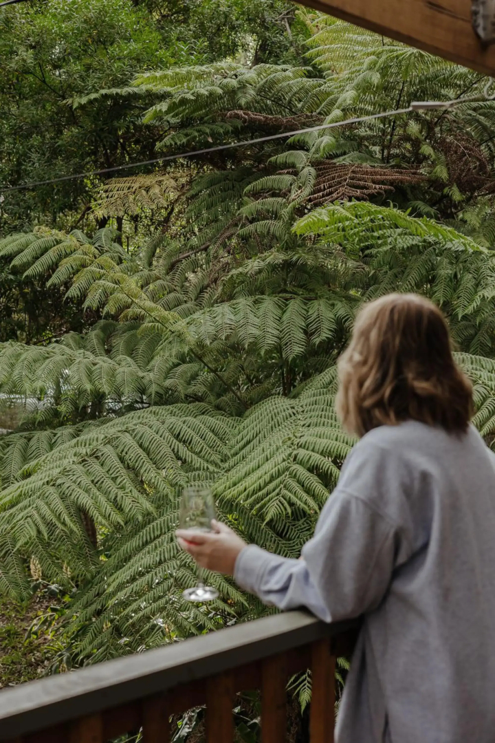 Fern House