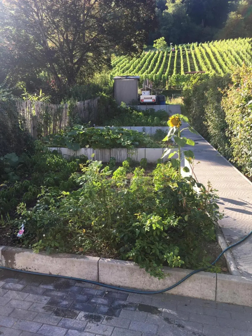 Ferienwohnungen Weiherhausstraße 6