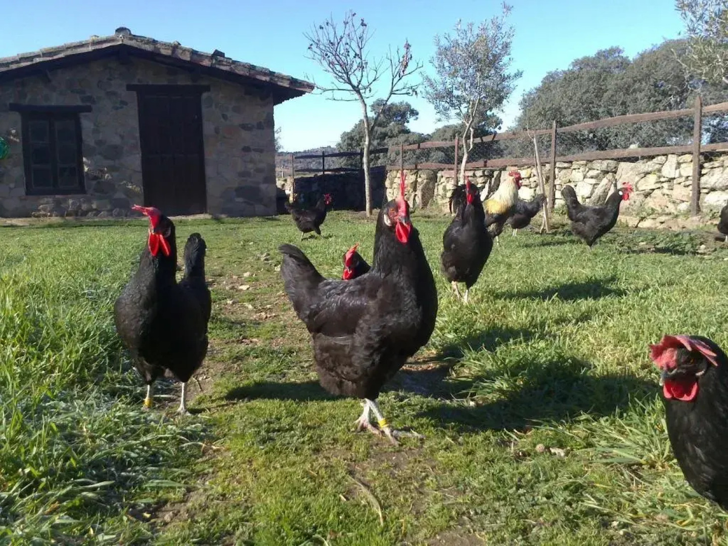 La Alquería de Mámoles