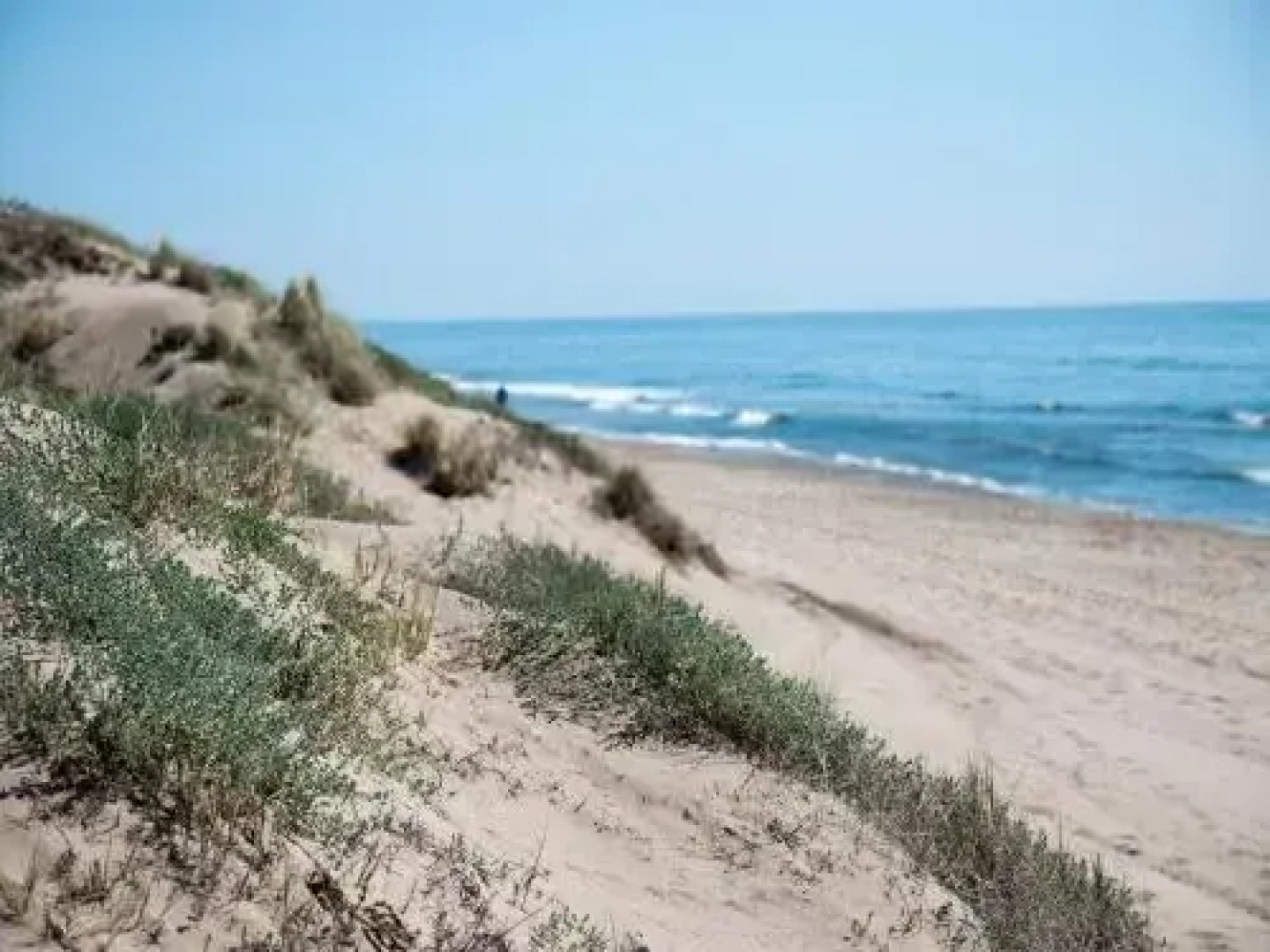 Wood House Close Beach