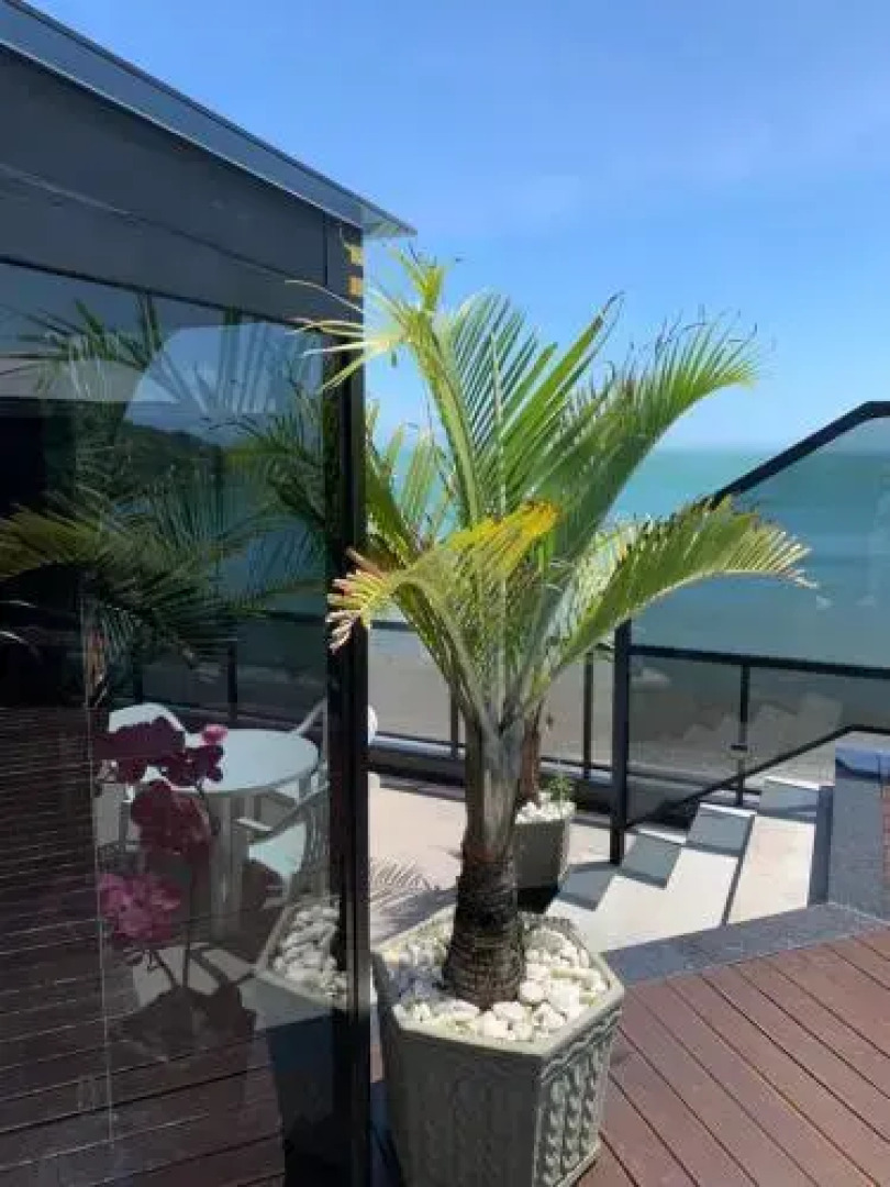 Cobertura Duplex Praia Do Morro Guarapari