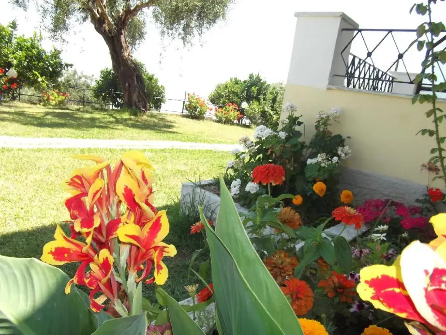 Rising Sun Apartments & Studios