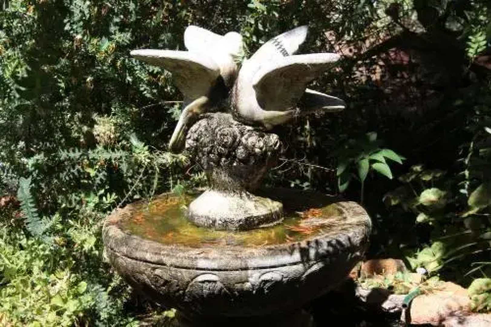 Whispering Pines B&B