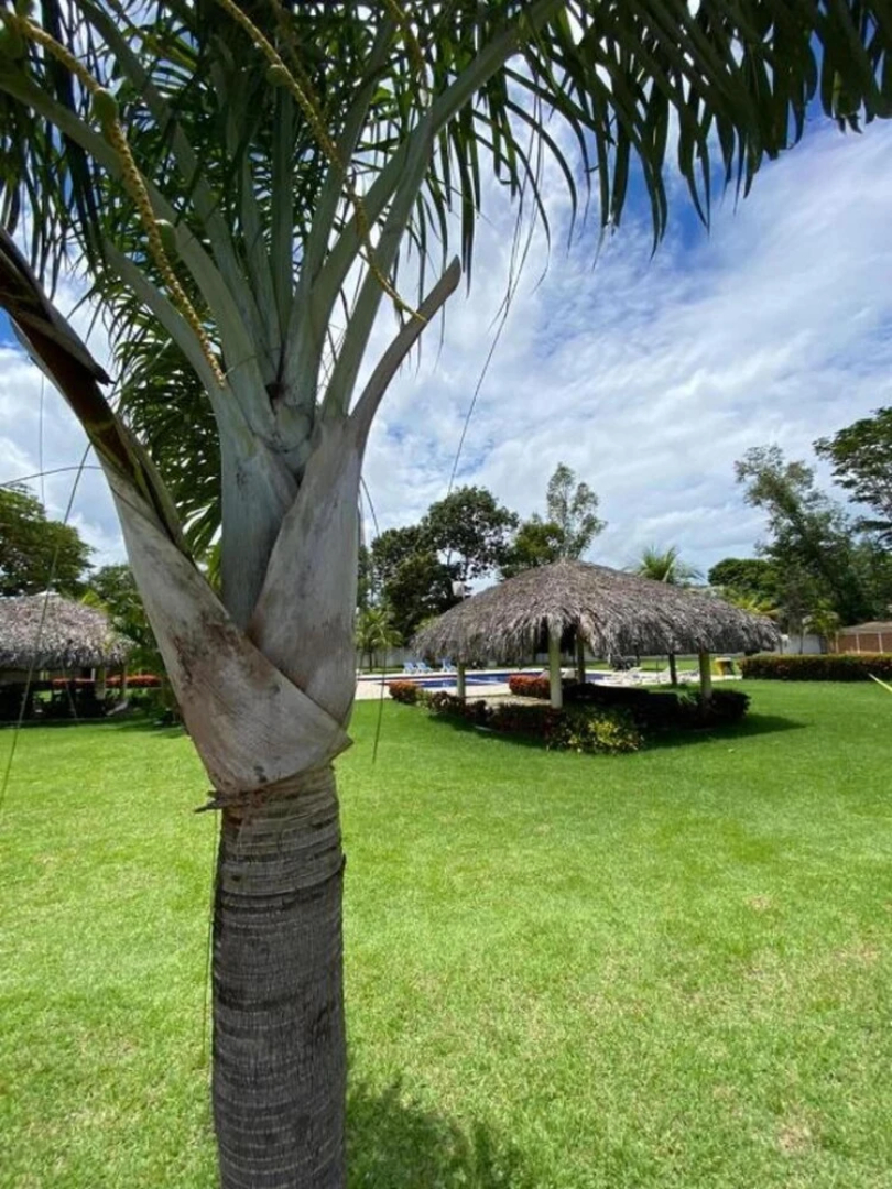 Recanto do Araguaia