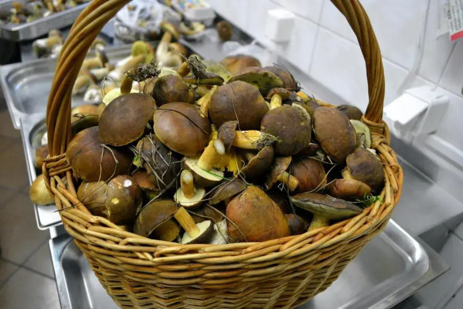 Vanilla Pokoje I Apartamenty Nad Brzegiem Jeziora