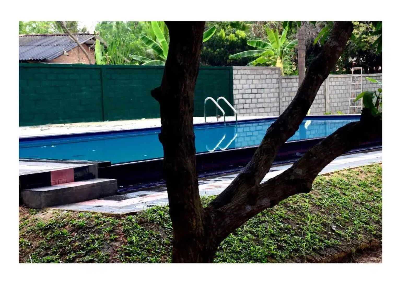 Sun and Green Eco Lodge