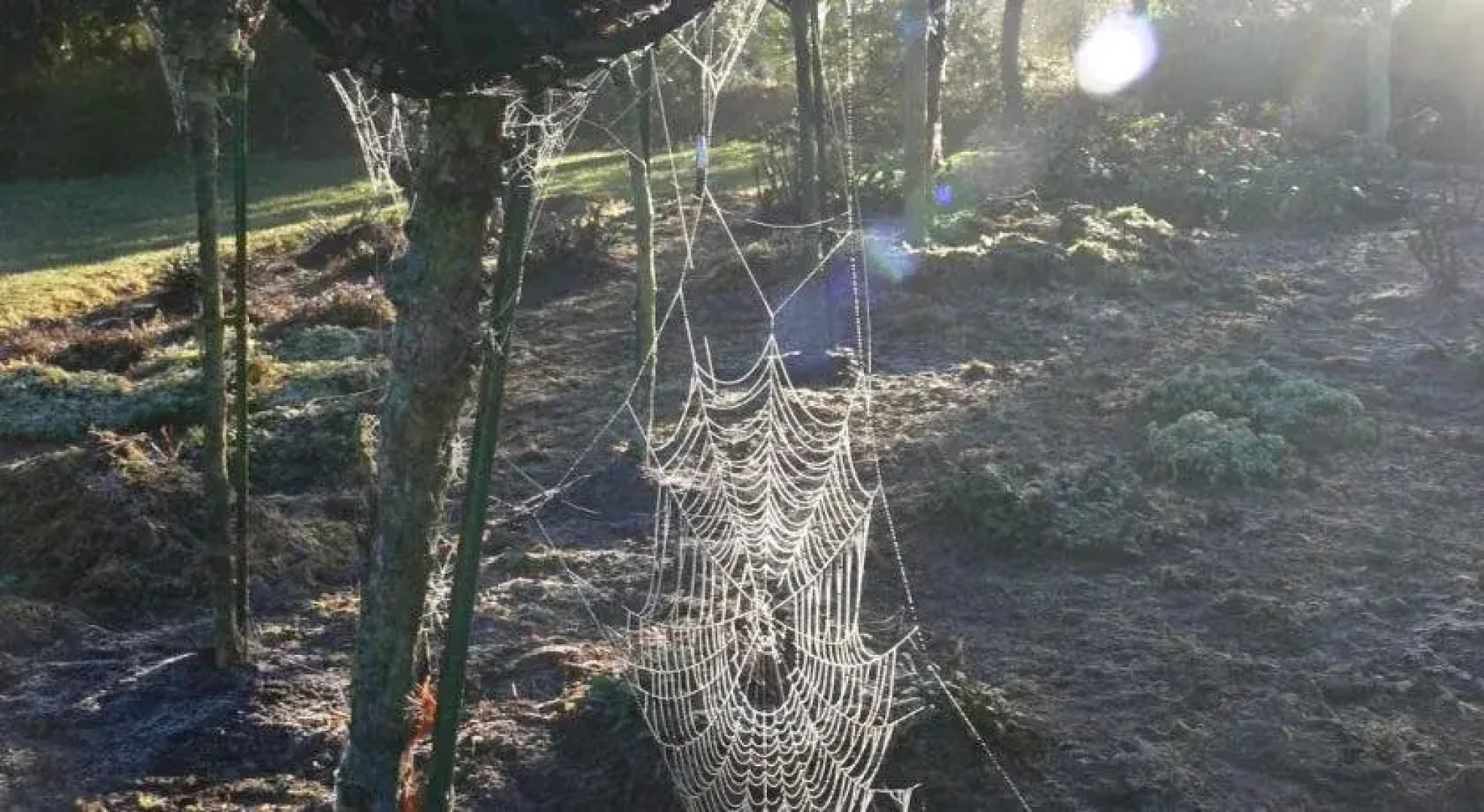 Garden View Bed & Breakfast Rolleston