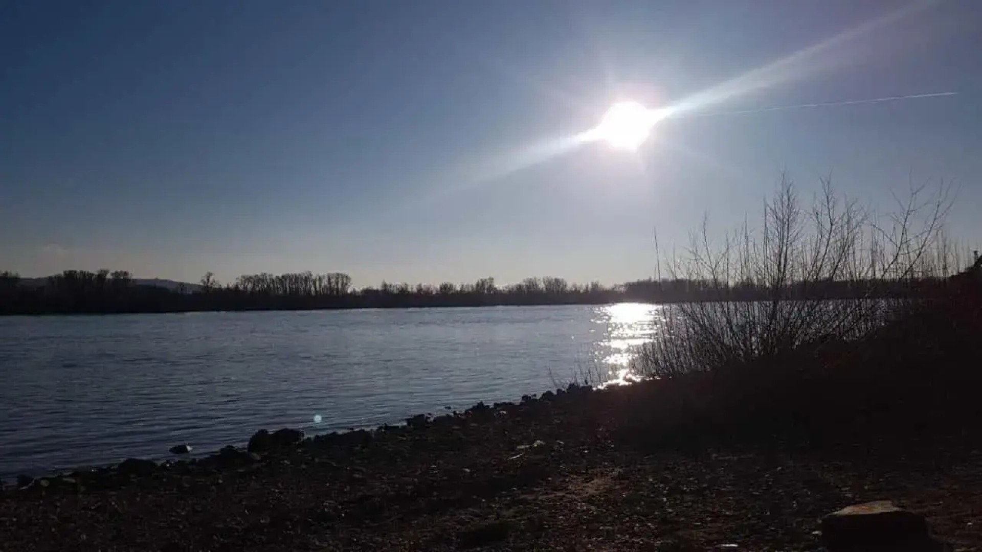 Rheingau und Weltkulturerbe Mittelrheintal erleben - Ferienappartement in Winkel