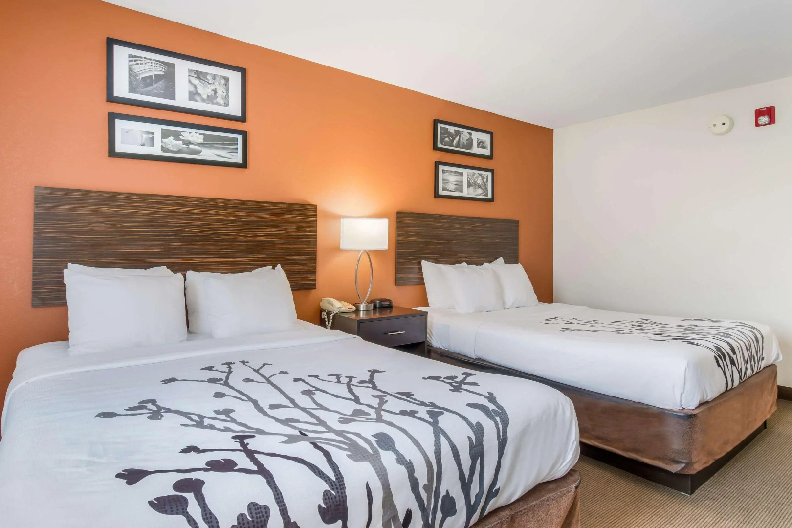 Sleep Inn & Suites Ronks - Lancaster Area