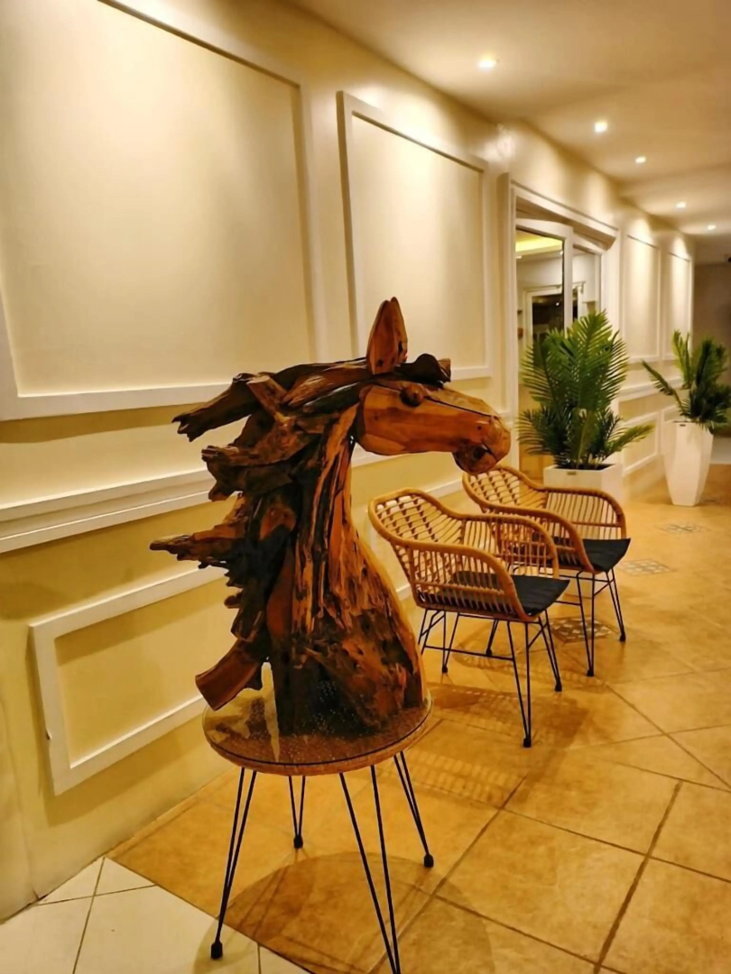 Hotel Palmar del Sol