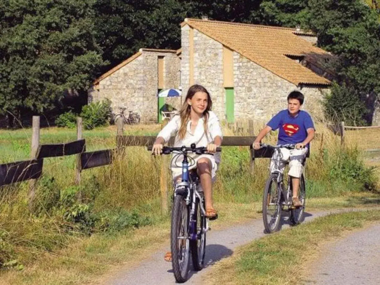 Domaine des Vans