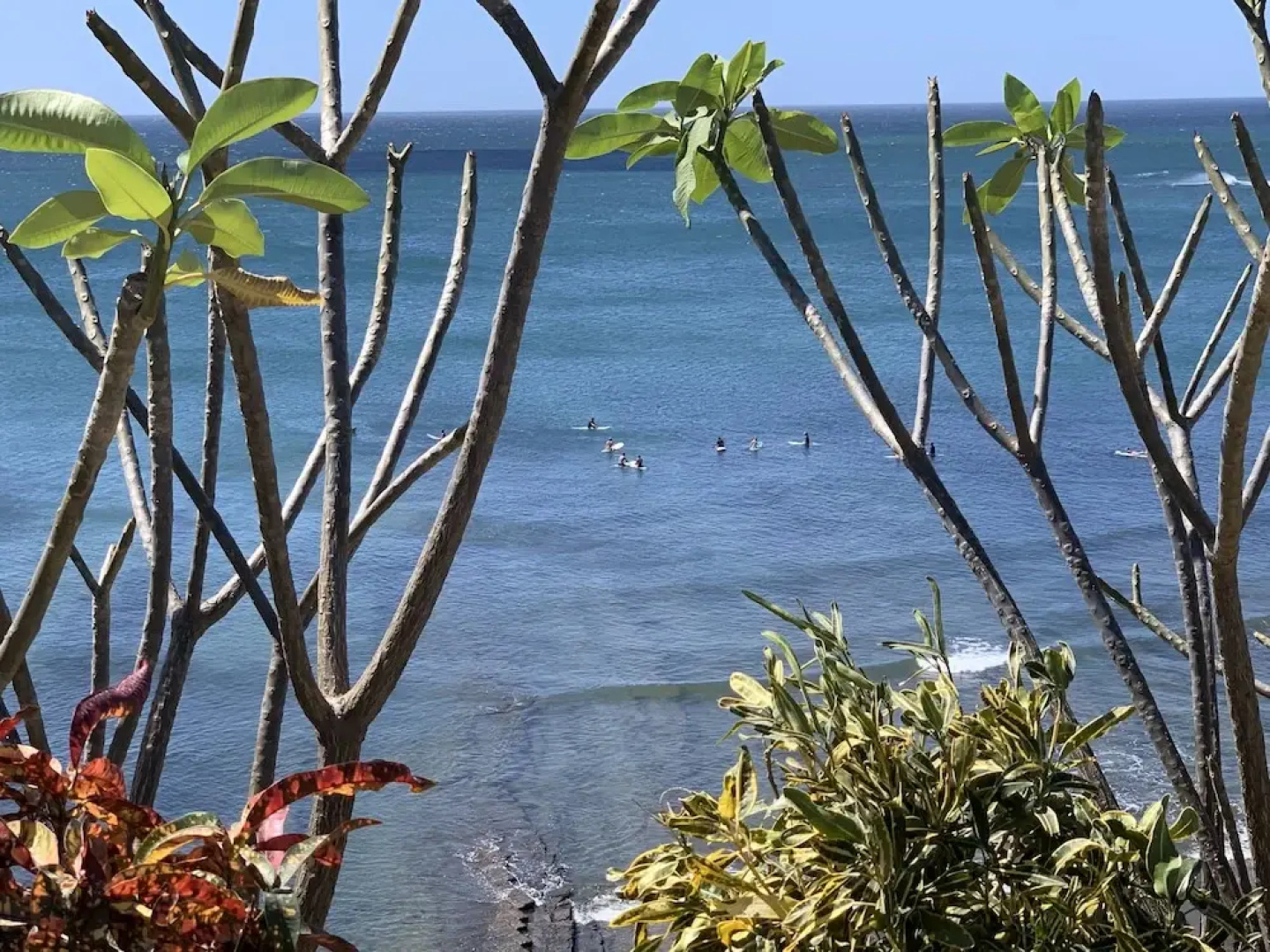 Surf Ranch Popoyo