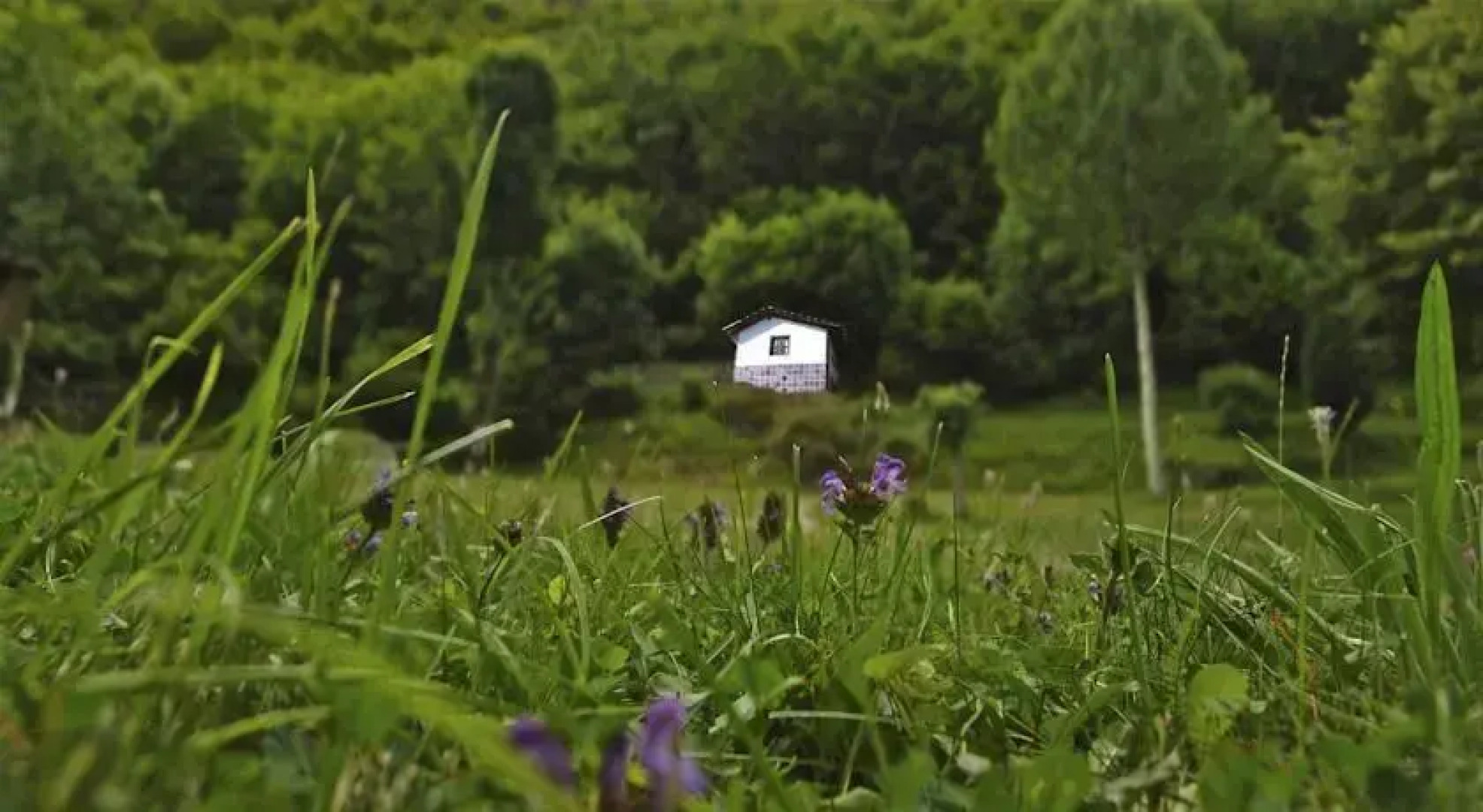 Camping El Cares Picos de Europa