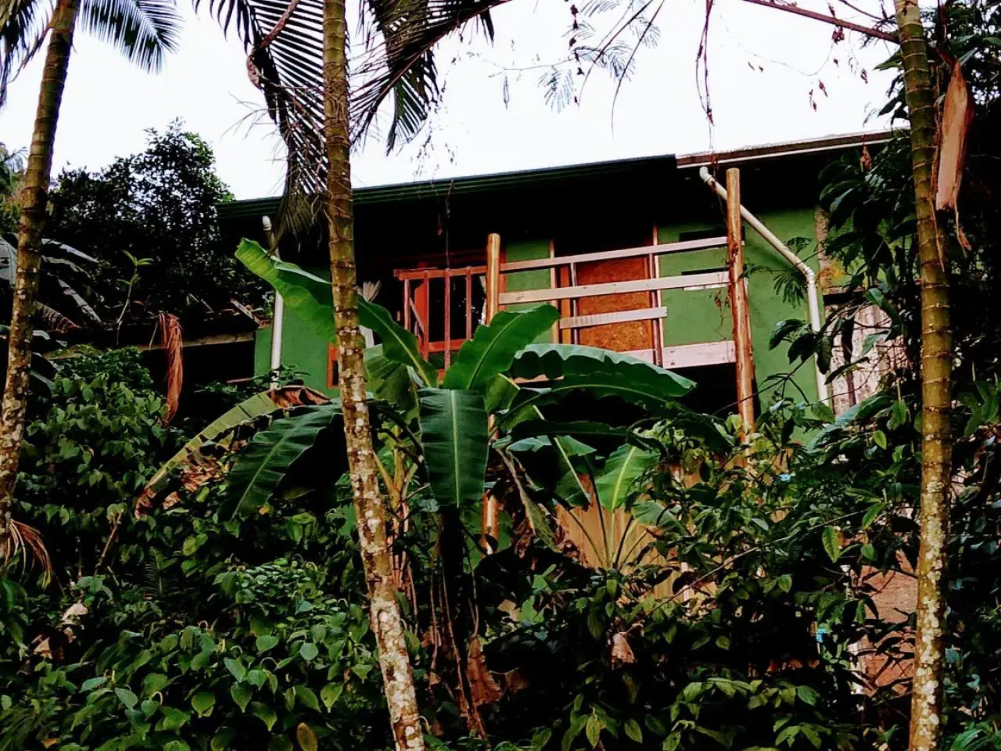 Waldhaus - Casa da Floresta