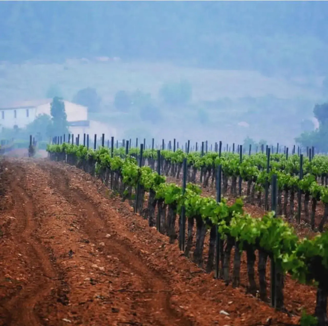 Casa Rural Ca La Laia
