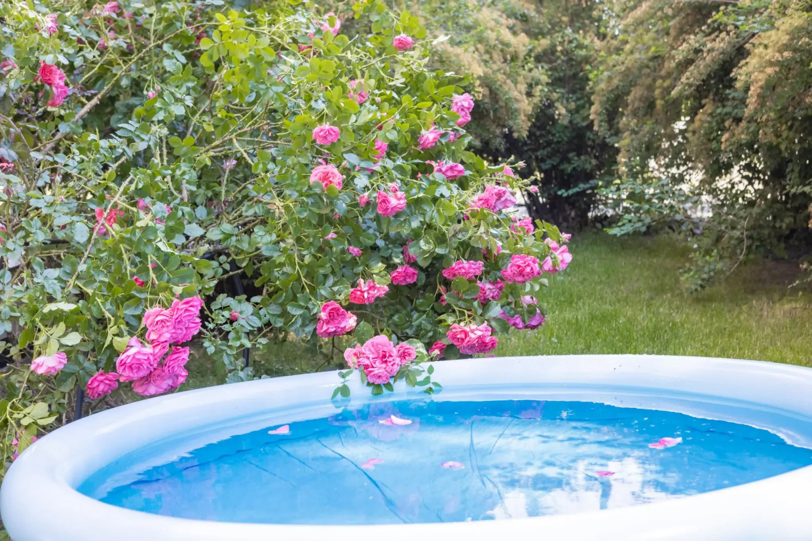 Zoya-Apart на улице Л. Некрасова 11