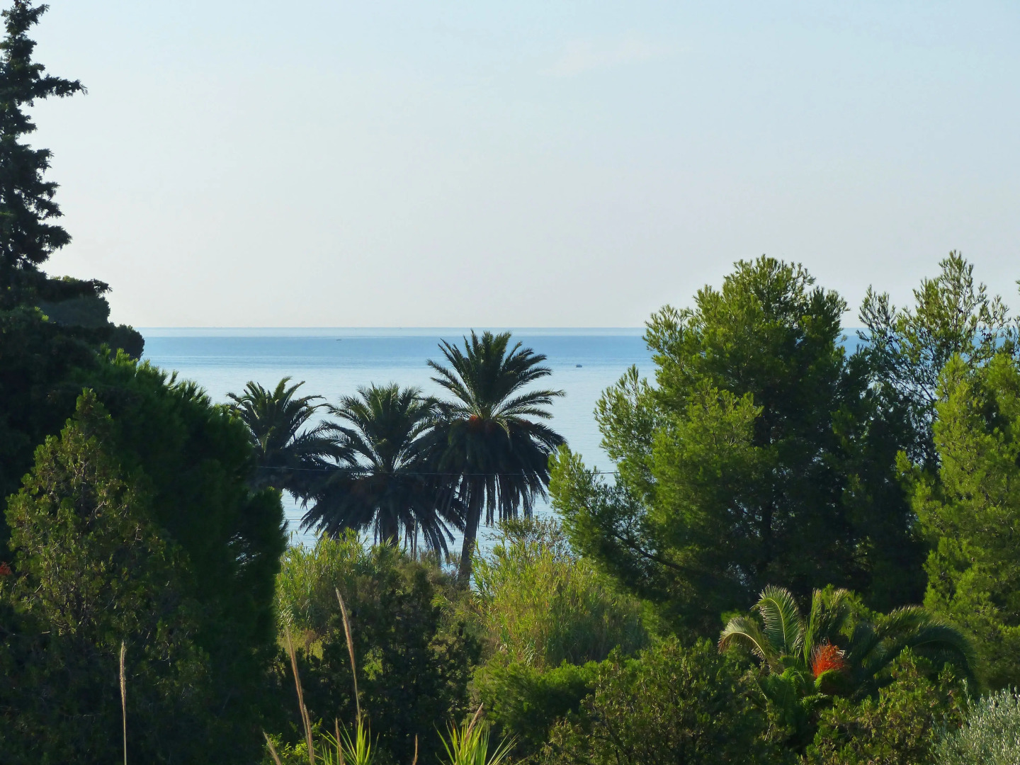 Apparthôtel Victoria Garden La Ciotat