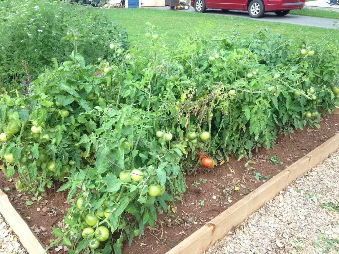 Georgetown Historic Inn