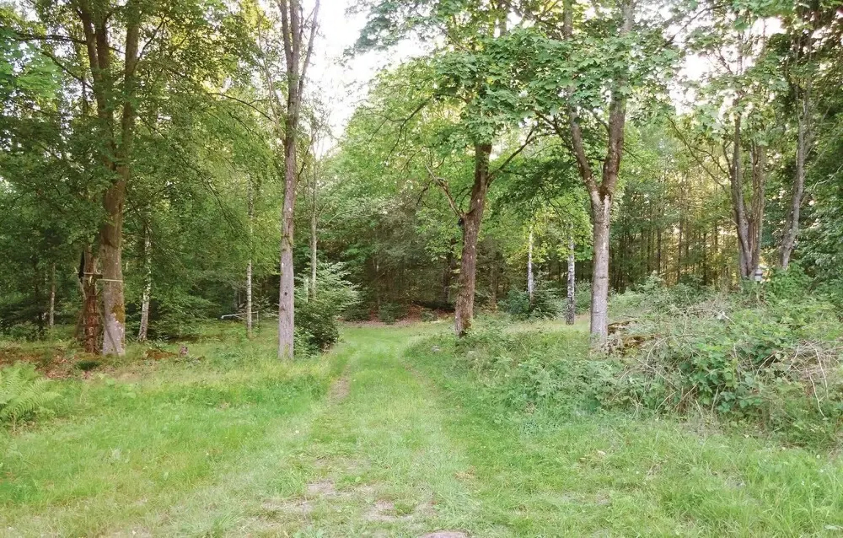 Beautiful Home in Bräkne Hoby With 2 Bedrooms