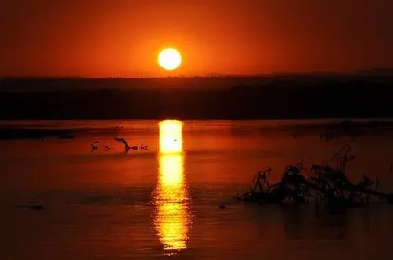 Three Cities Mushroom Lodge