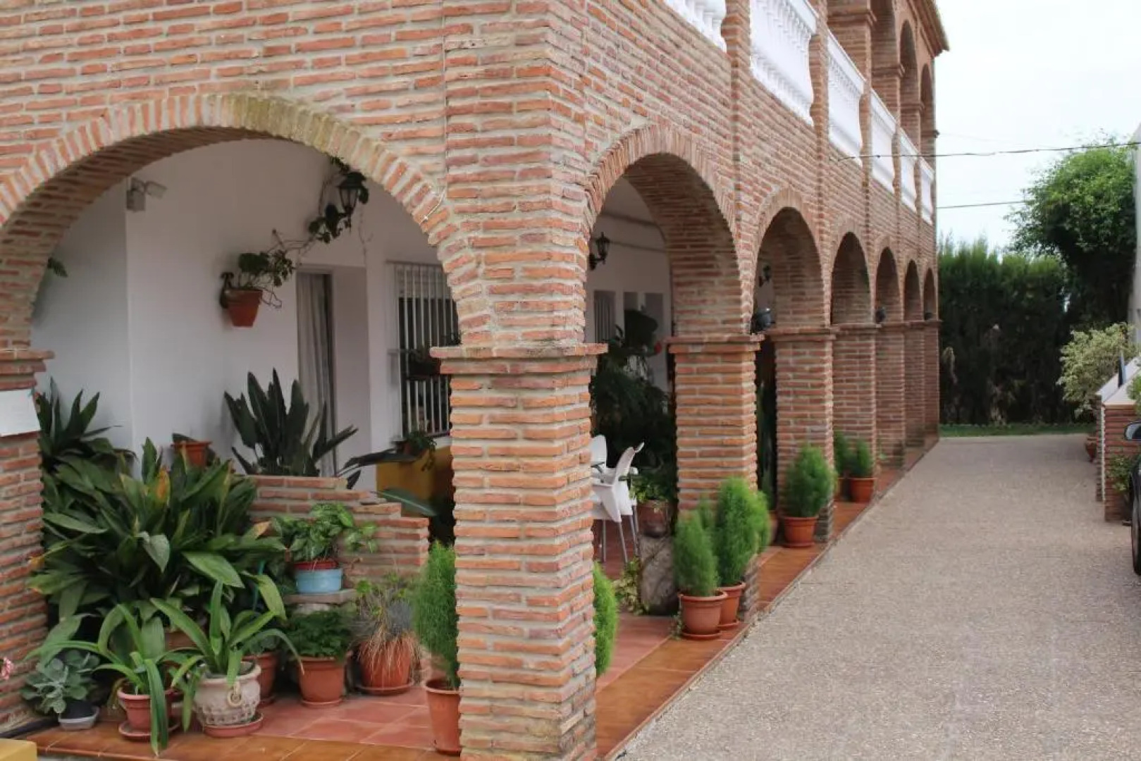 Apartamentos Bolonia Paraiso