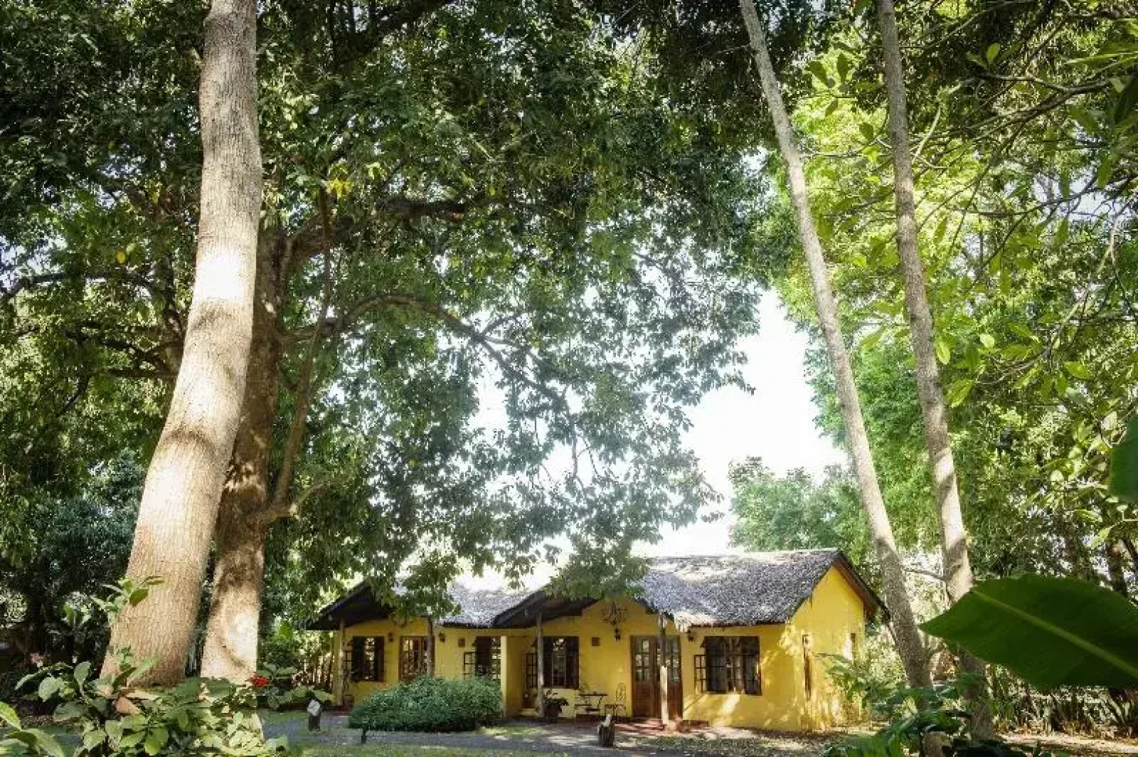 Rivertrees Country Inn