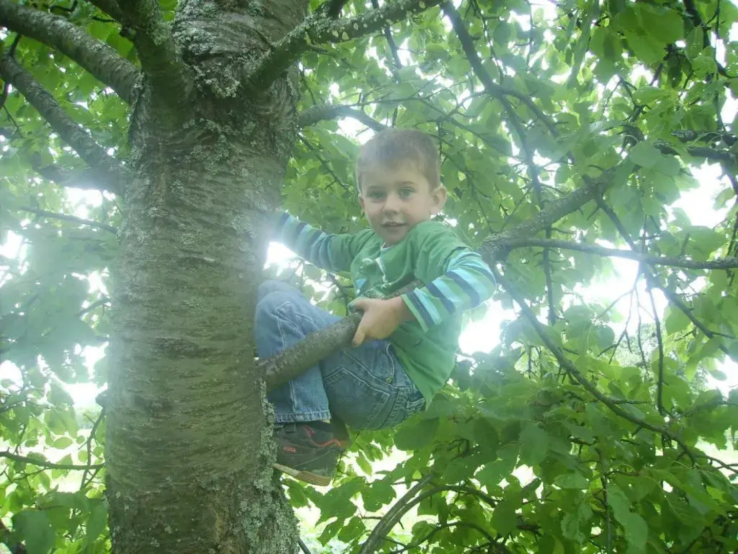 Haus am Kastanienwald