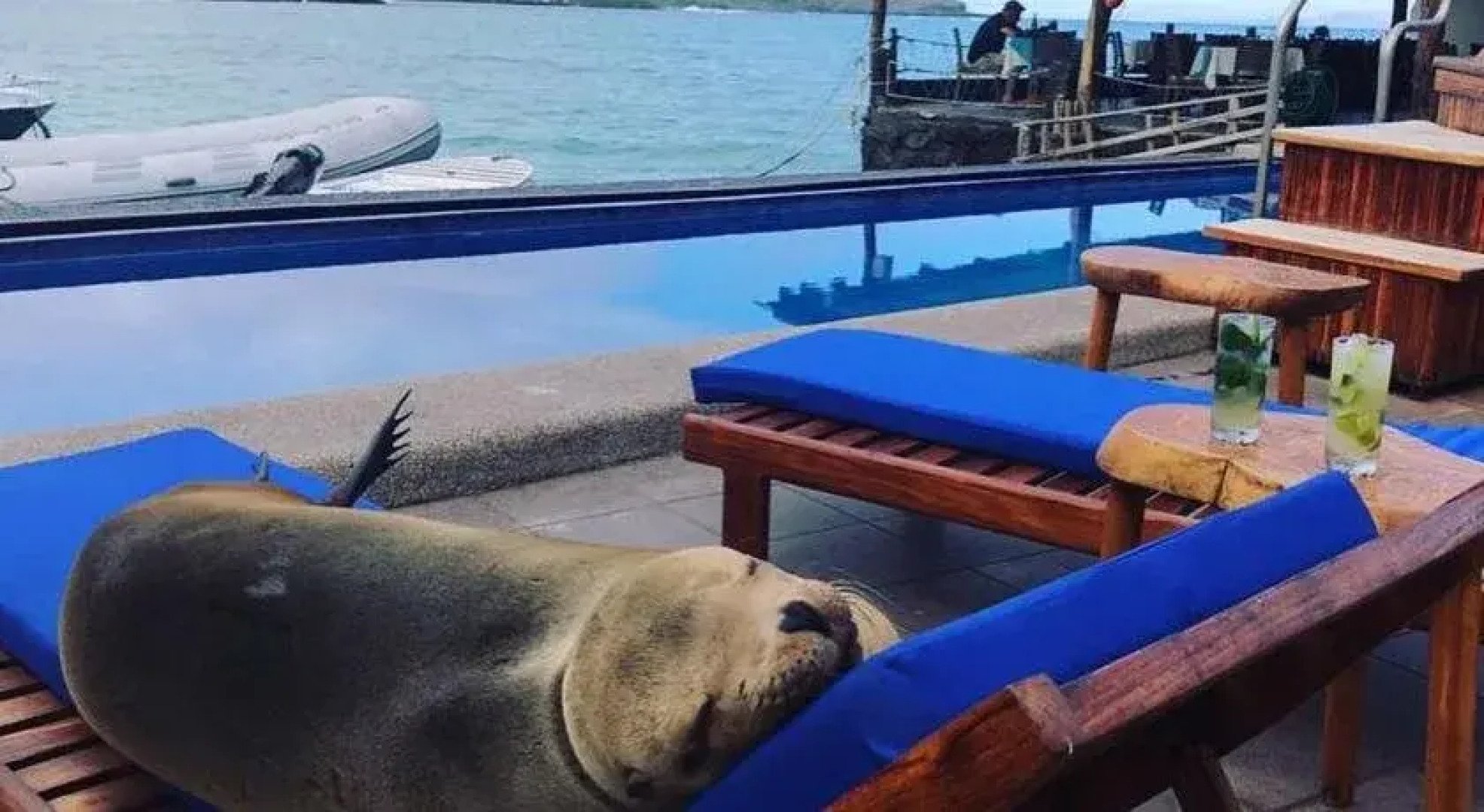 Solymar Torre Principal