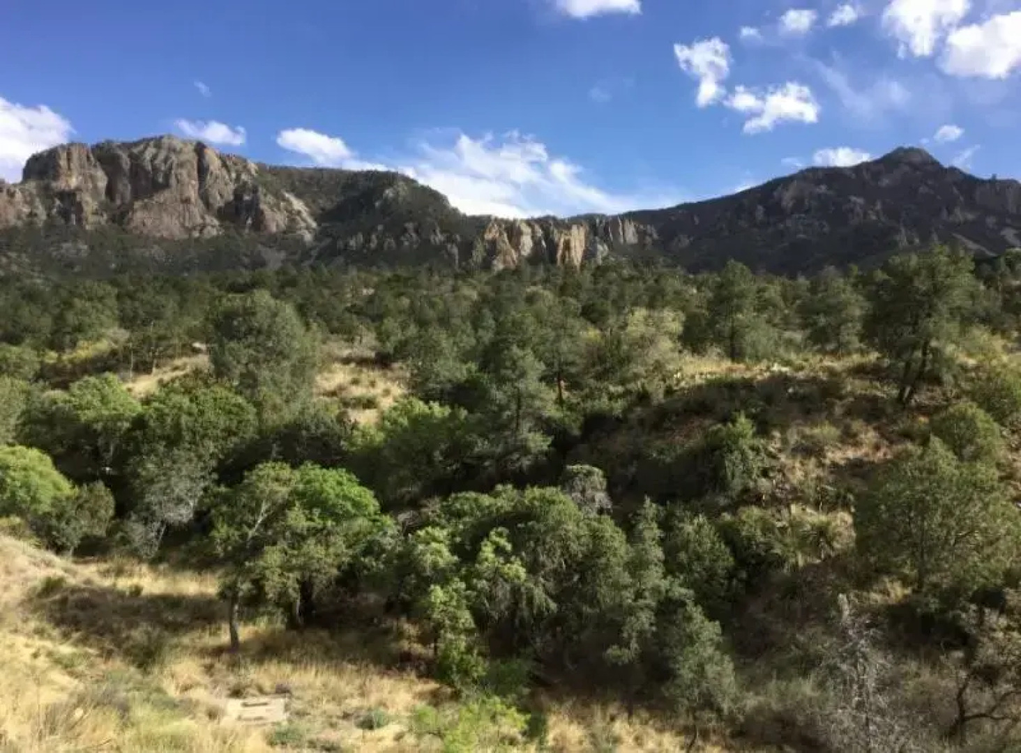 Chisos Mountains Lodge