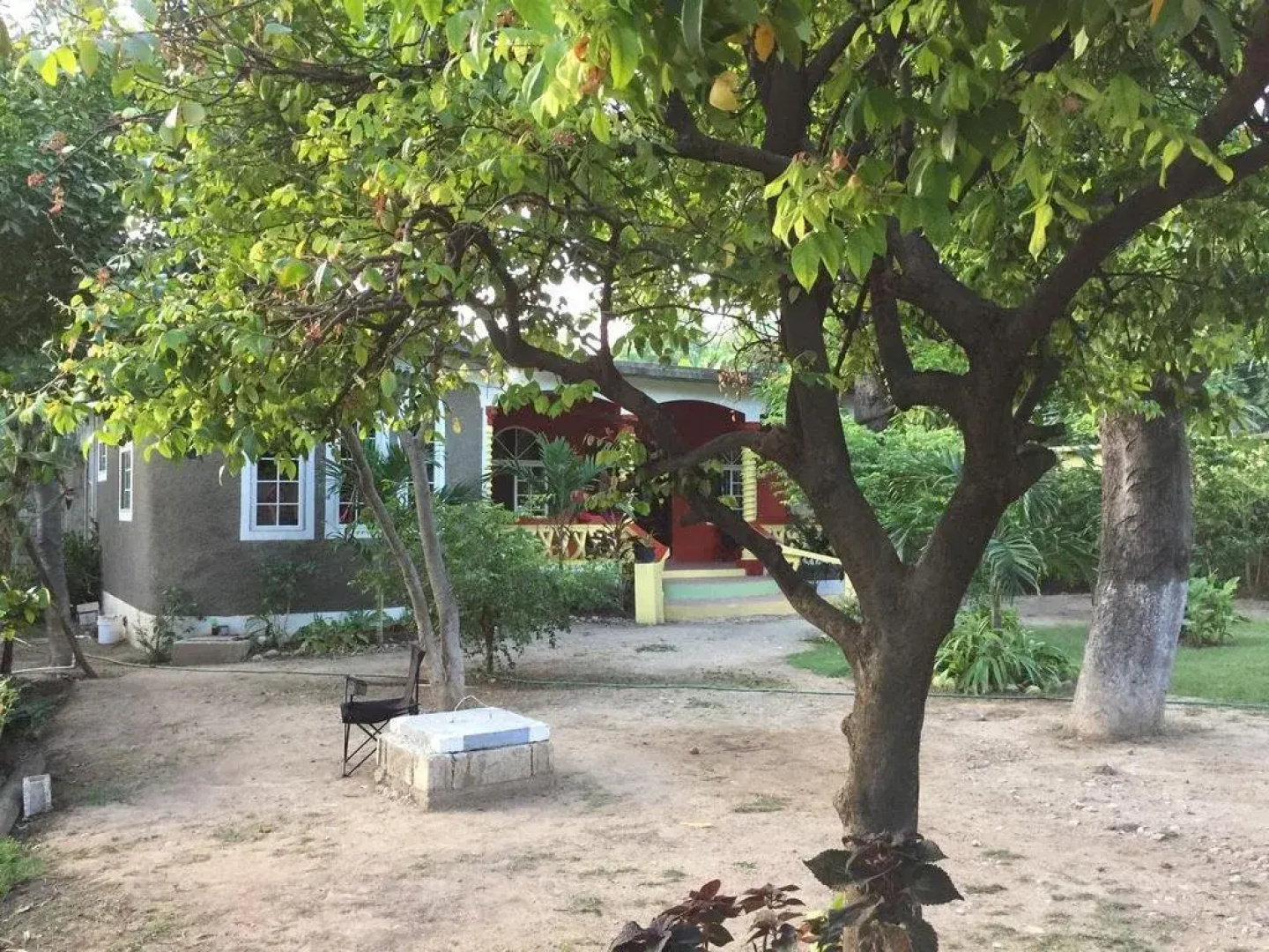 Mango Inn Kingston