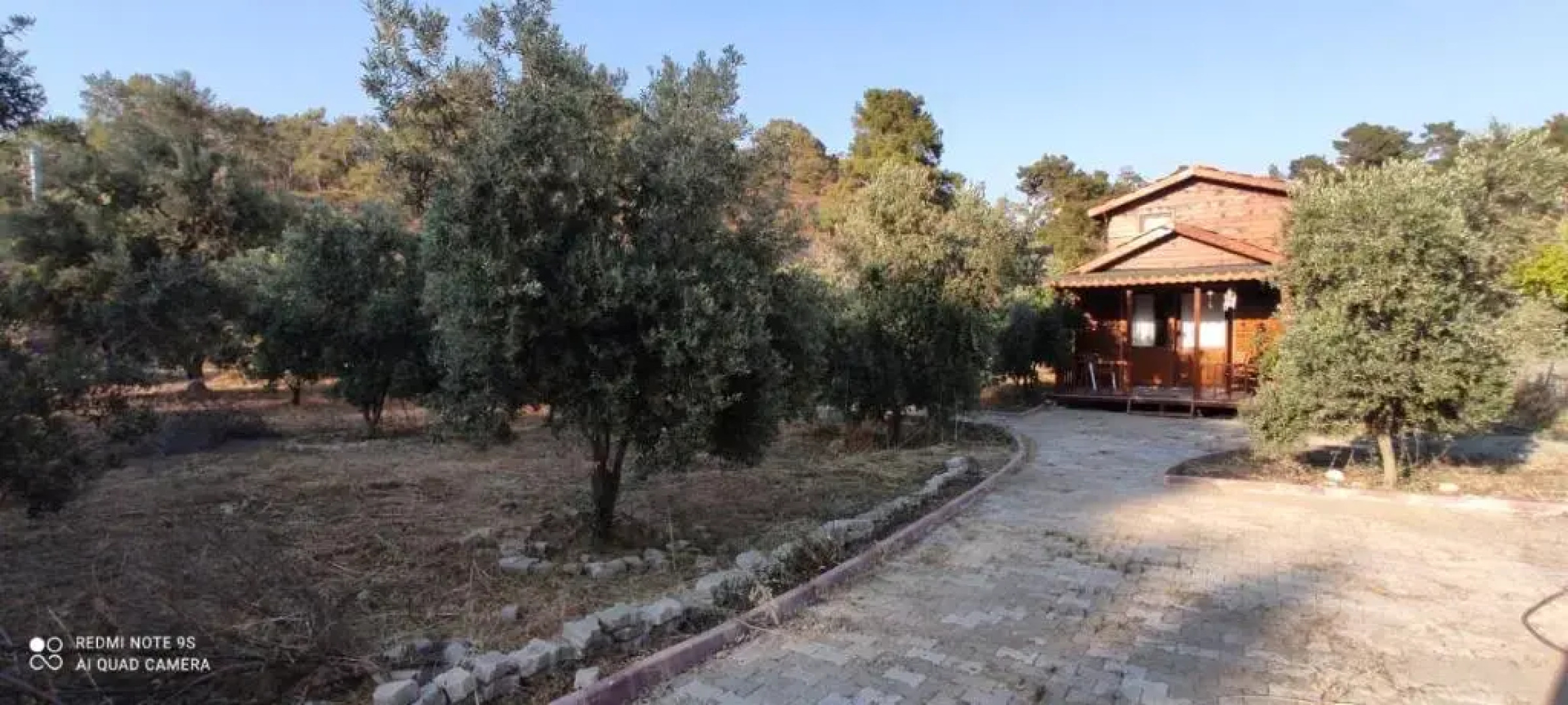 olive garden bungalow