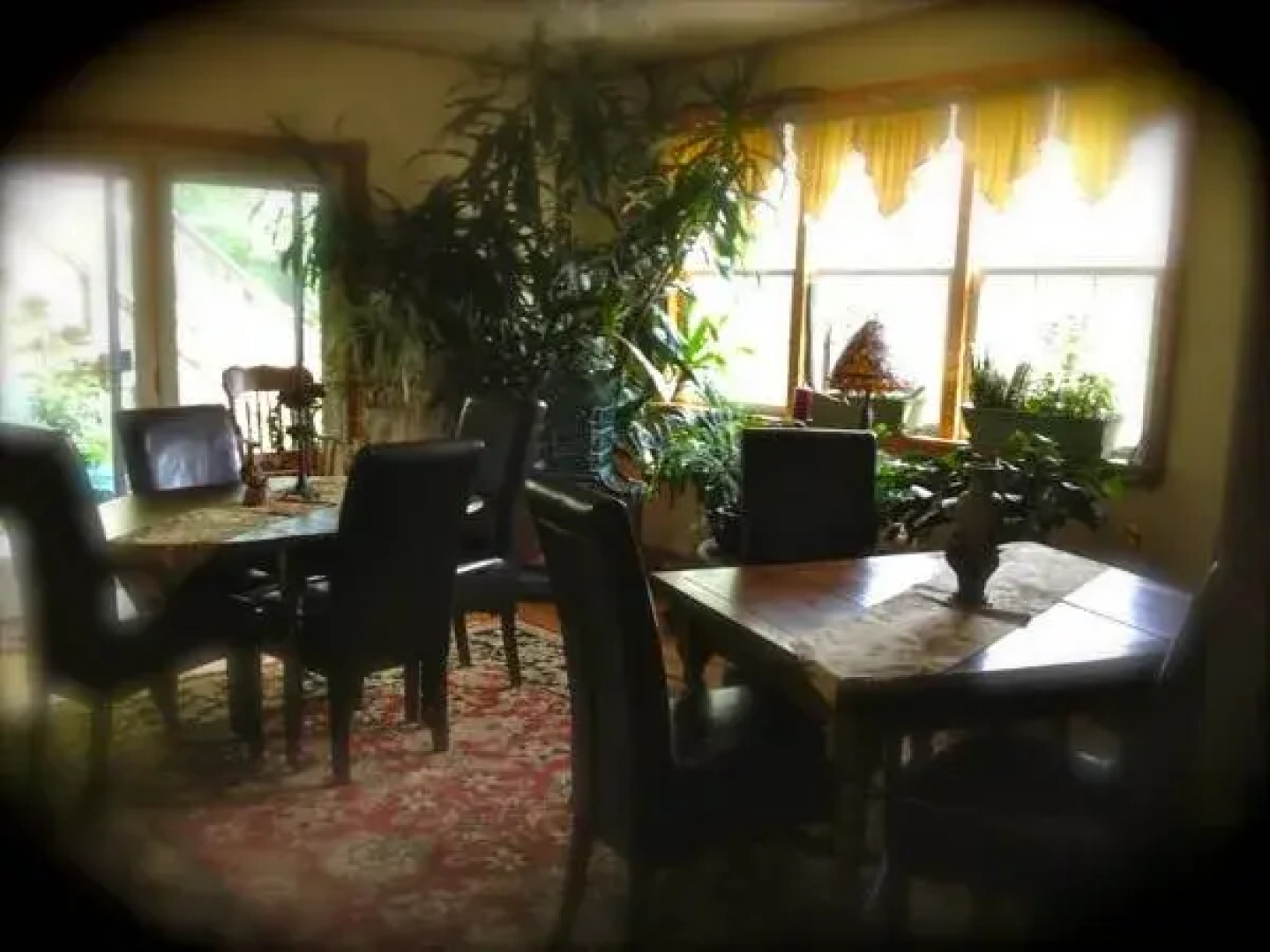 Sheppards Place Bed & Breakfast